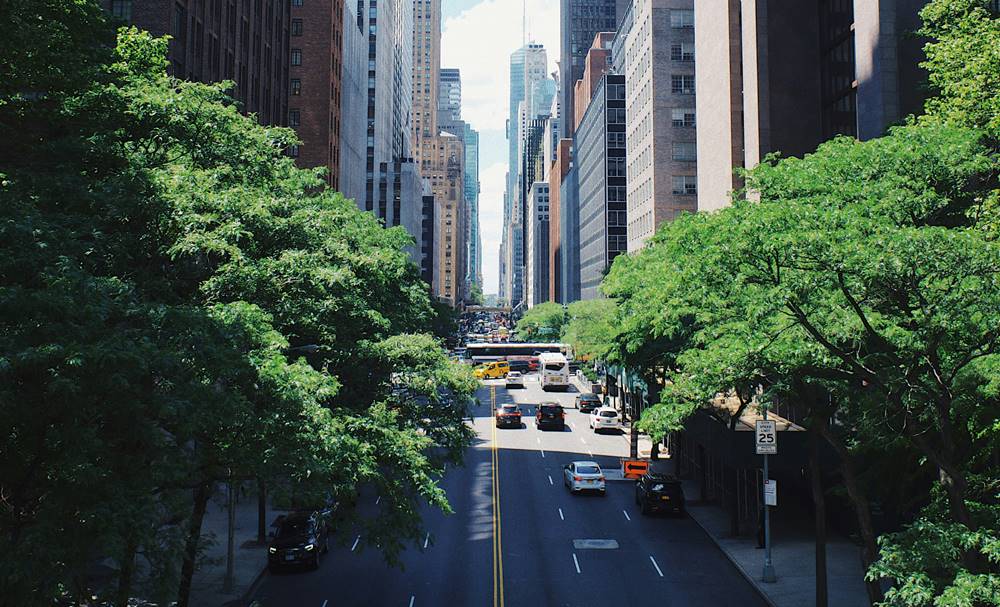 usa 1 week road trip new york city